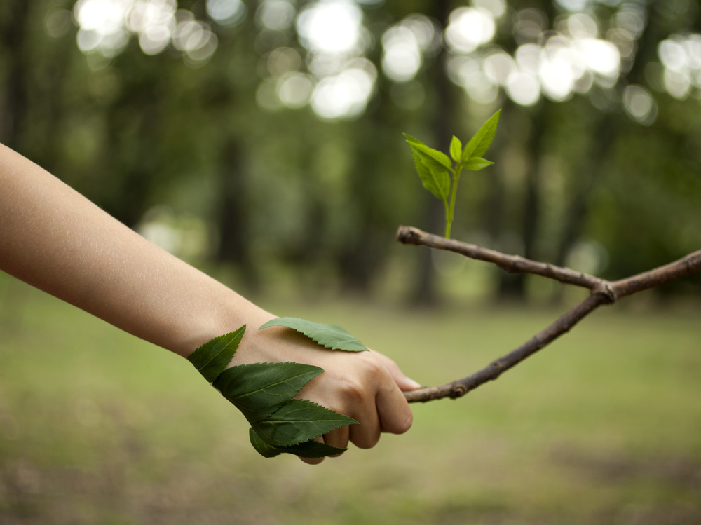 Sistema-ambiental-licenciamento